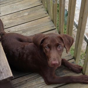 Meet your Posher, Lindsey